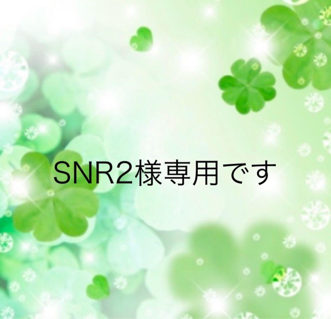 SNR2のページです