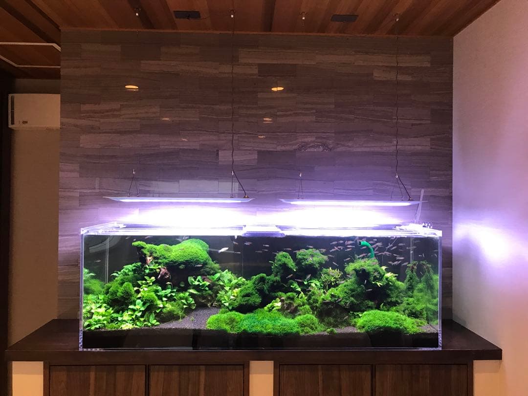 ONF FLAT ONE 天吊LED照明 60cm水槽水草に1台+おまけ1台