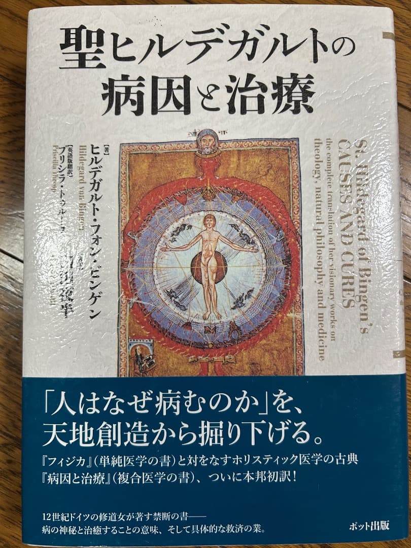 聖ヒルデガルトの医学と自然学、病因と治療