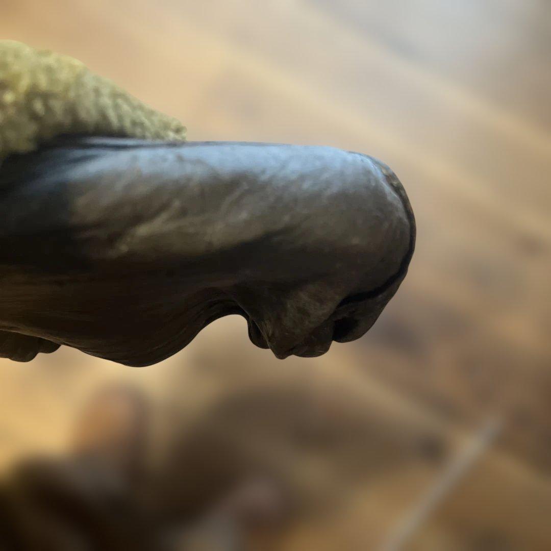 AVIREX G1 トップガン Sサイズ