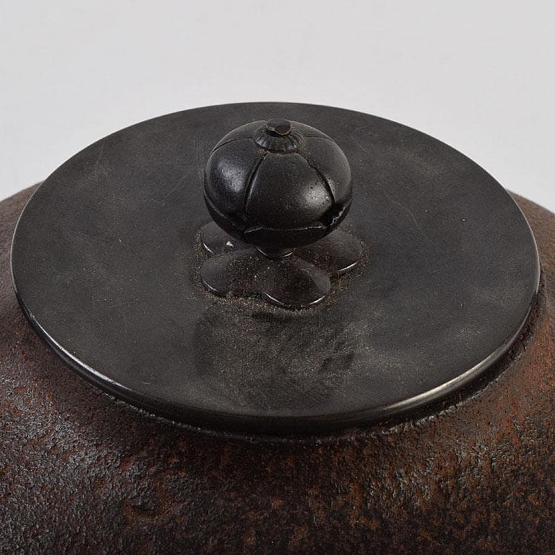 煎茶道具　釜師　菊池政光作　鉄瓶　共箱　D　R9449H