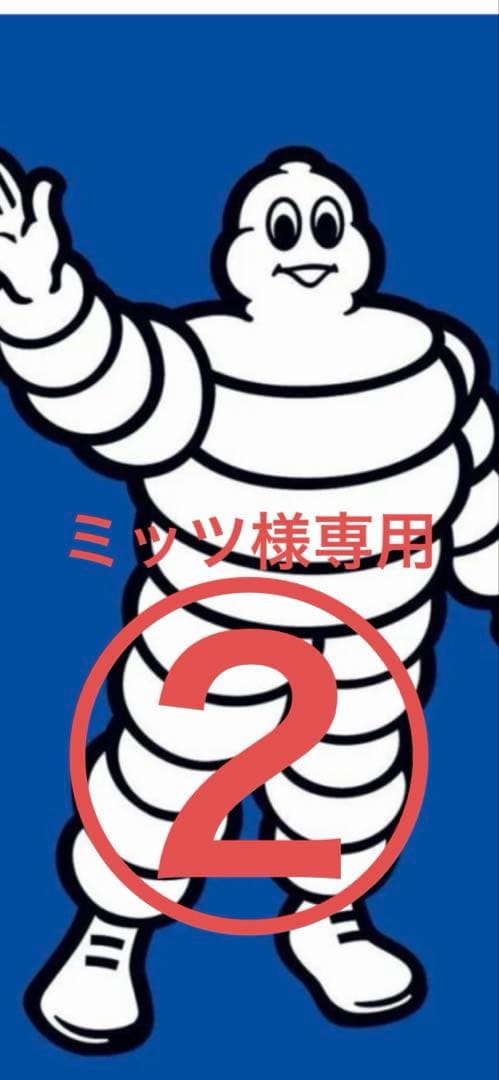 ミッツ225／55R19