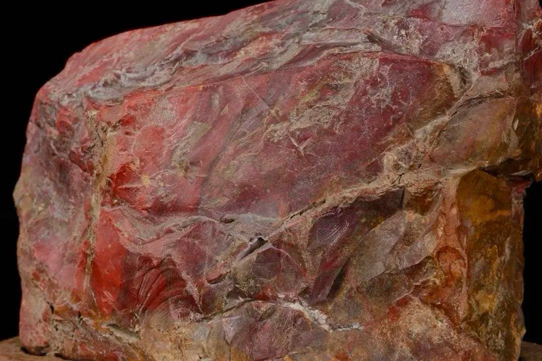 佐渡 赤玉石 黄色 赤石 ジャスパ一 台座付 2kg 水石 盆石 鑑賞石 天然石