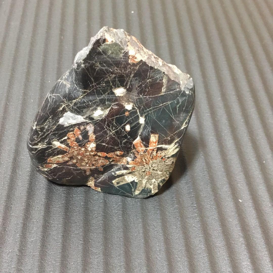 岐阜県根尾谷産の菊花石