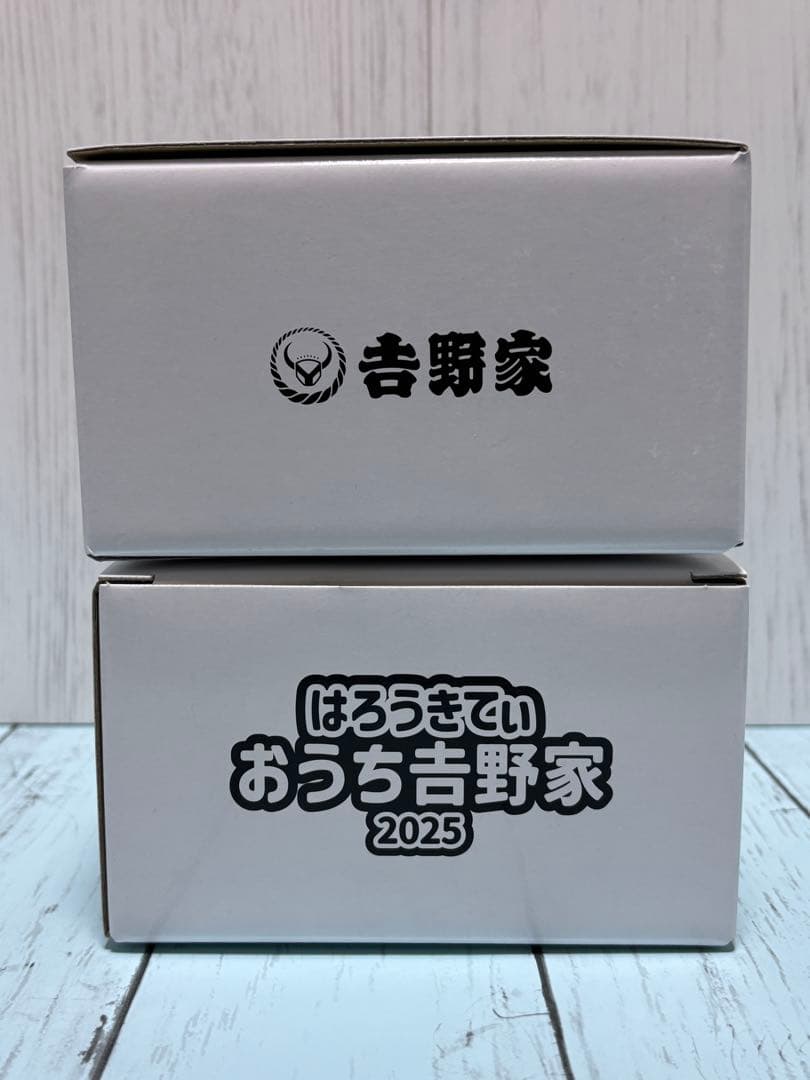 【新品】はろうきてぃ おうちで吉野家2025 メラミンどんぶり