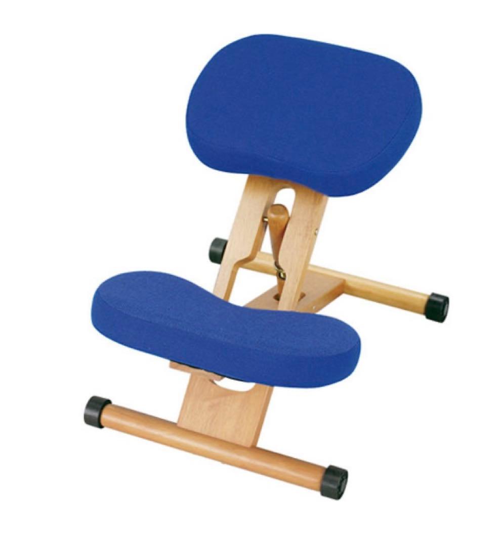 新品　バランスチェア　プロポーションチェア　補助クッション付き　ブルー