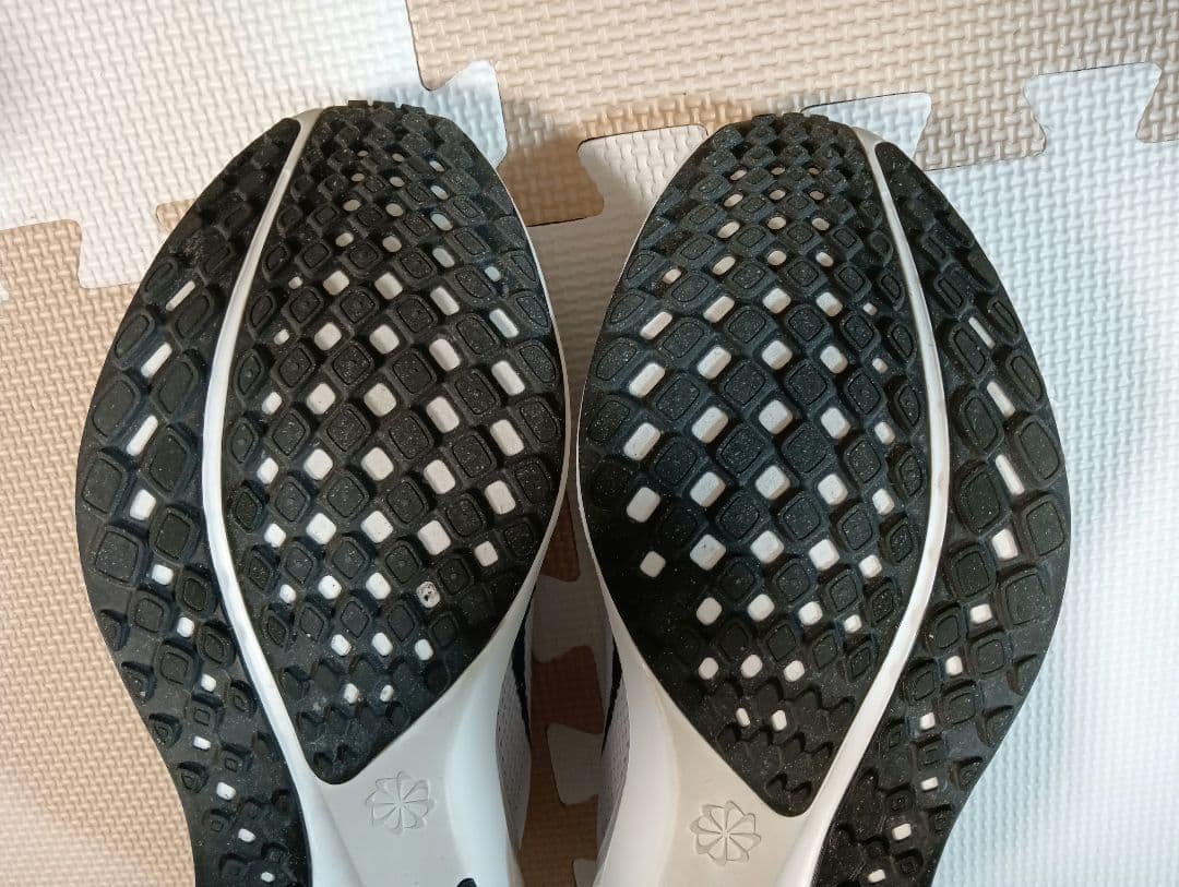 【26.5cm】ナイキ エアズーム ペガサス41　アルペン限定カラー　完売