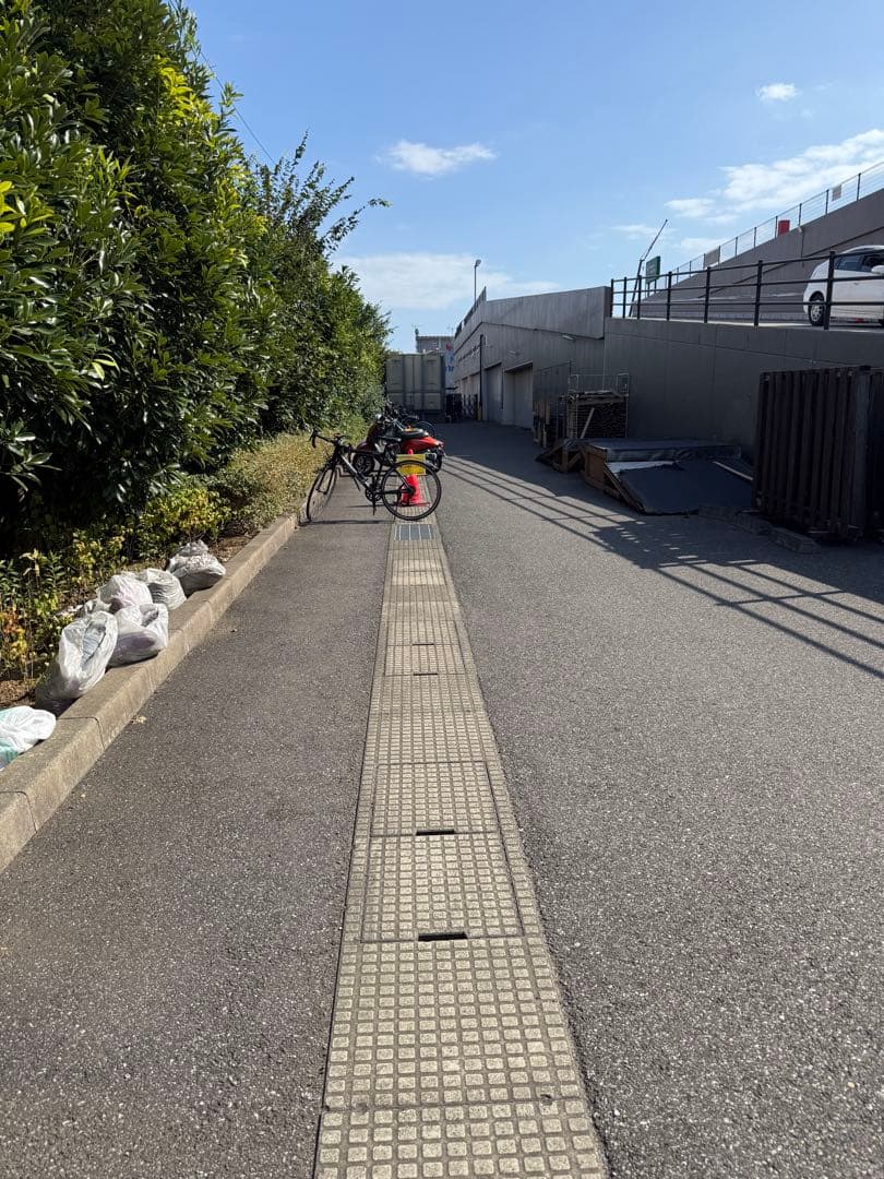 ま*だ様 ANIMATO Crescendo 3RRD 700CSHIMANOC