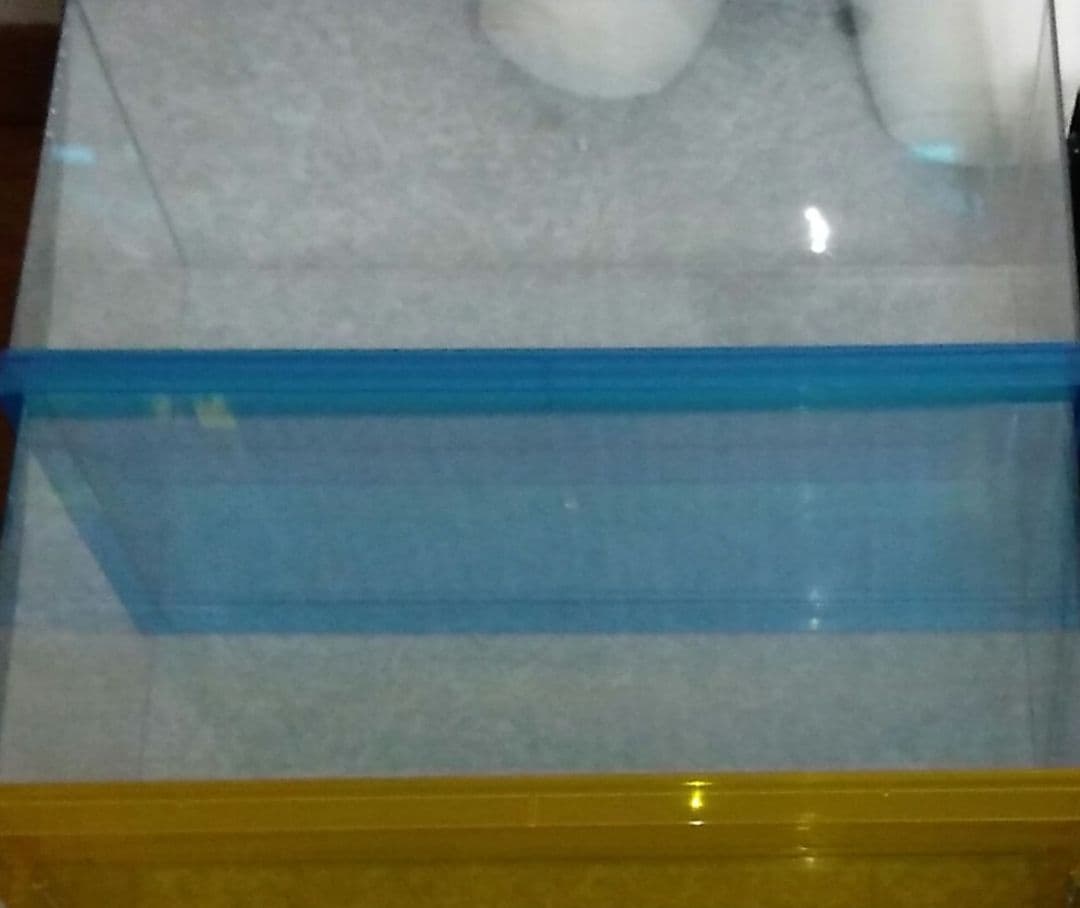 T-case LSTAGE コレクションケース