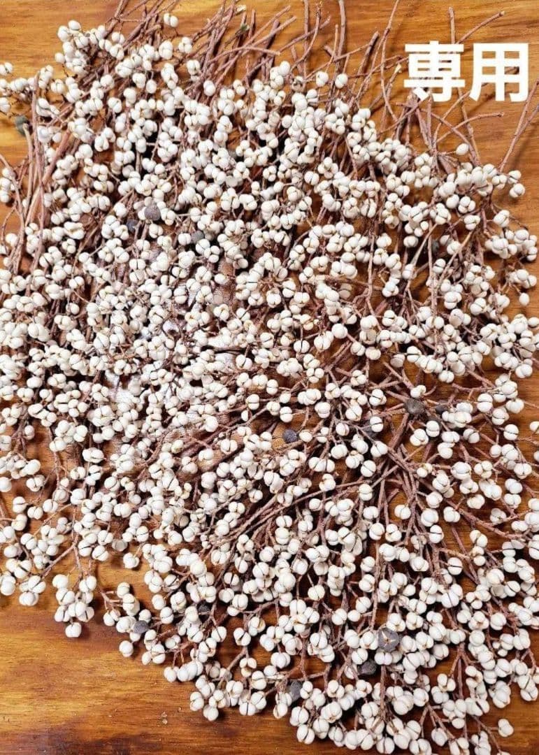 hanatokito ナンキンハゼ ドライフラワー 250本