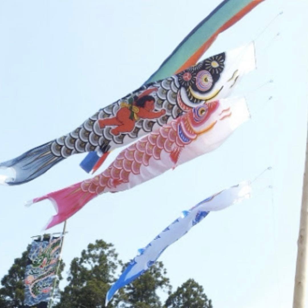 4m 40号　6点セット　鯉のぼり　鯉幟　庭園用　庭用　金太郎　ゴールド　俊峰