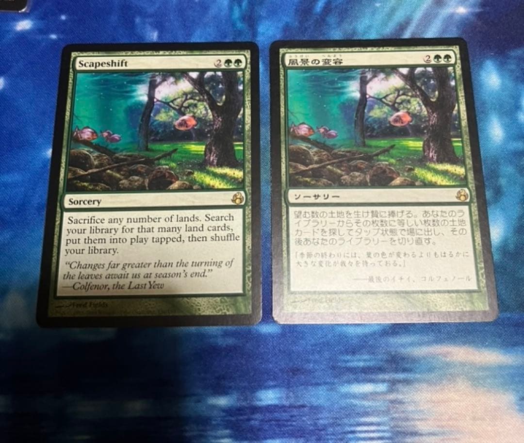 MTG　風景の変容　日本語英語２枚セット