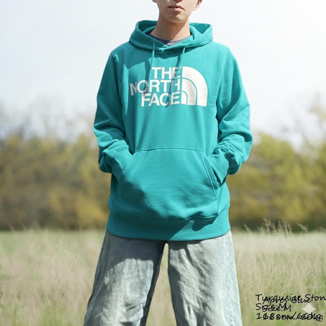 ノースフェイス パーカー メンズ 海外L 日本LL相当 ブルー 新品 apHD