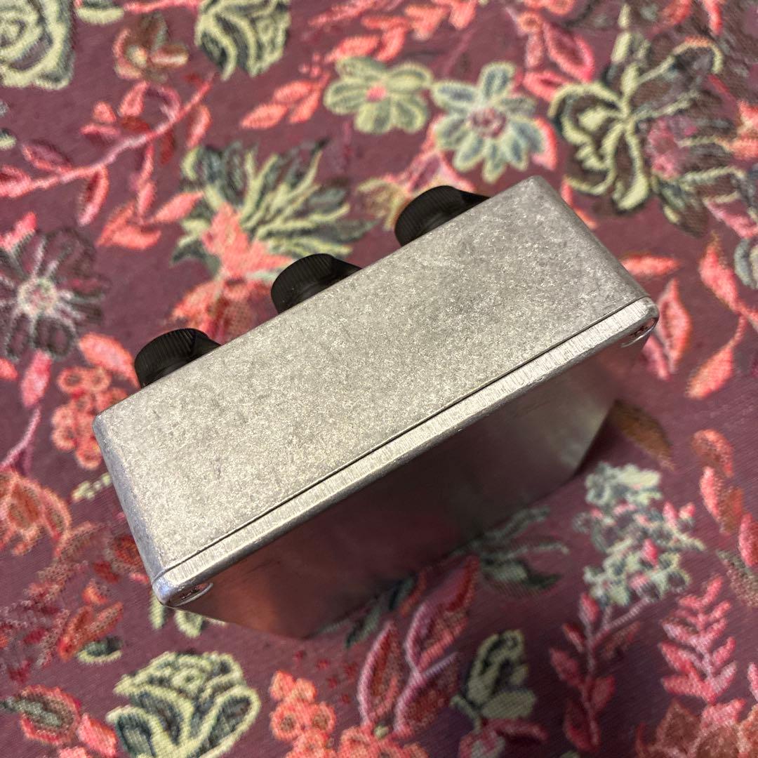 ギター Fairfield Circuitry Shallow Water