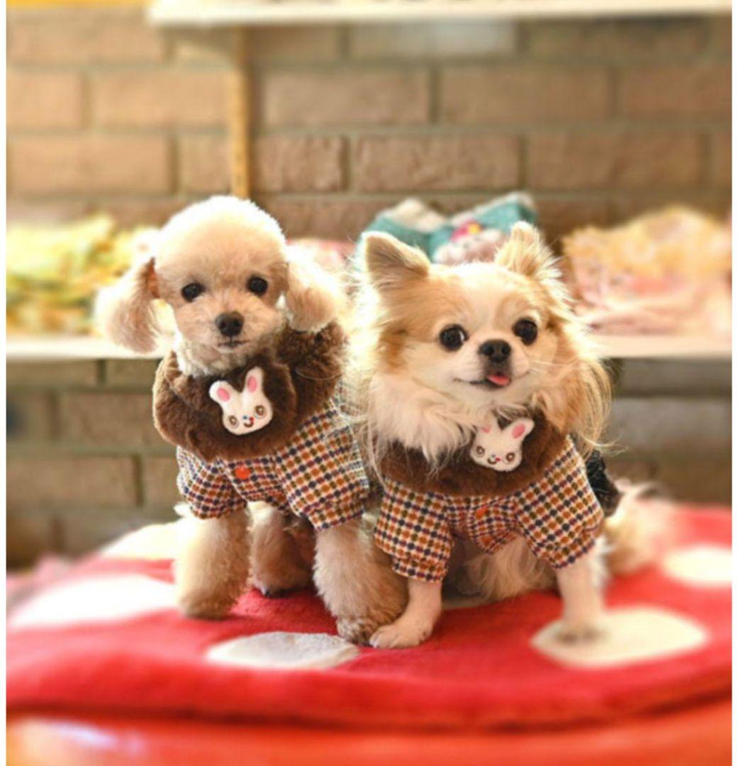 J＆Kanimals　はるちゃんコート　ツィードジャケットワンピース　３ＳーＬ