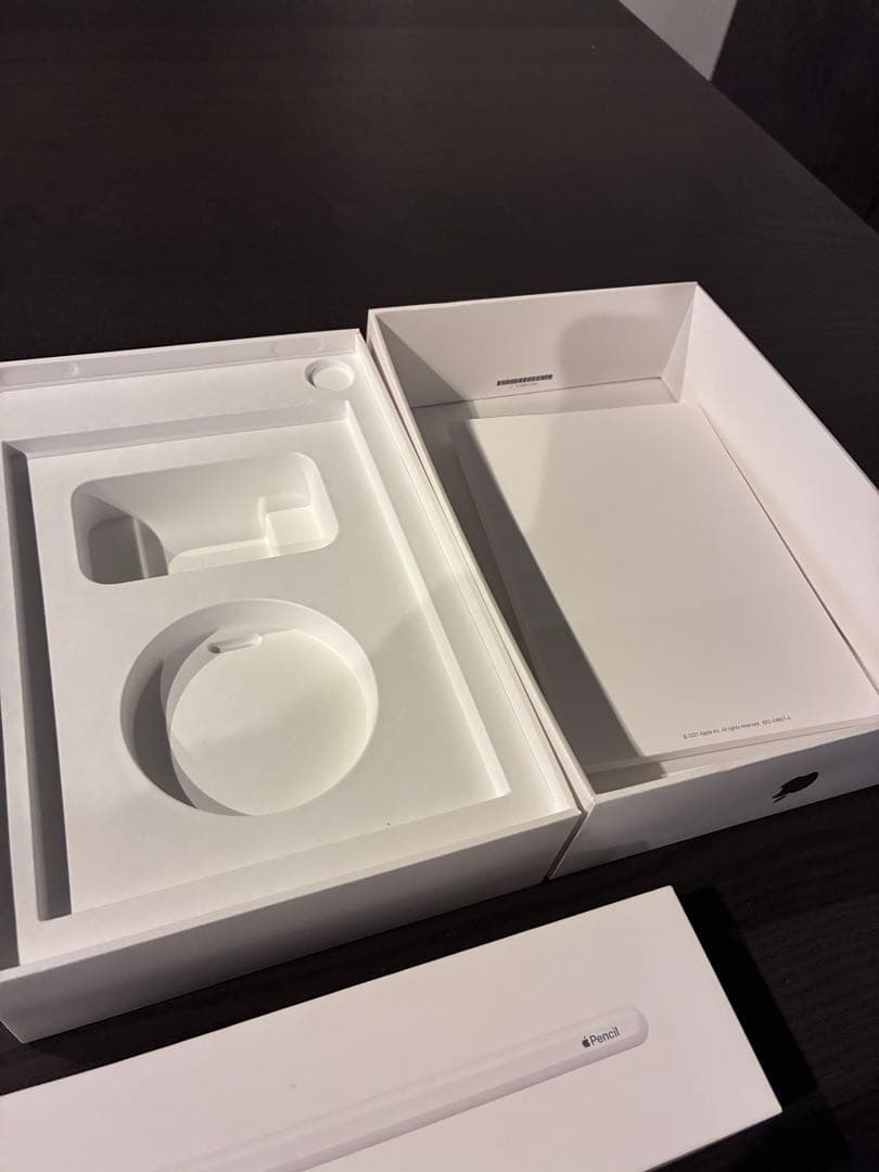 「楓」iPad mini (第6世代) 64GB