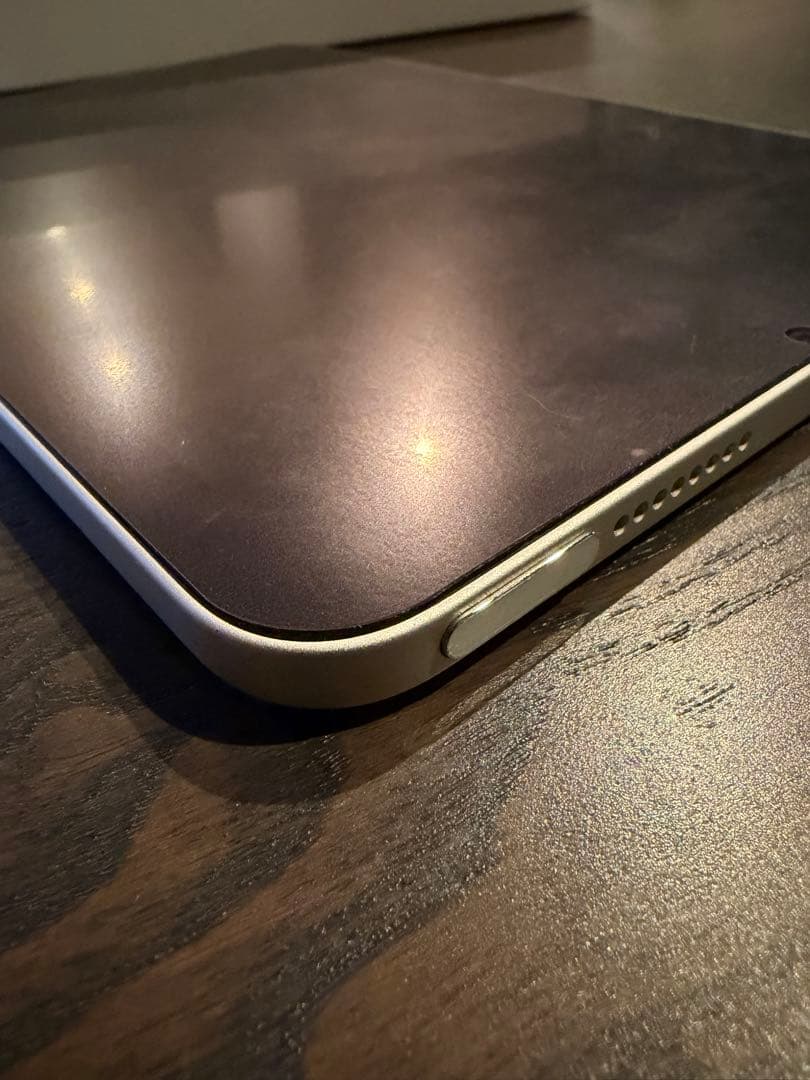 「楓」iPad mini (第6世代) 64GB