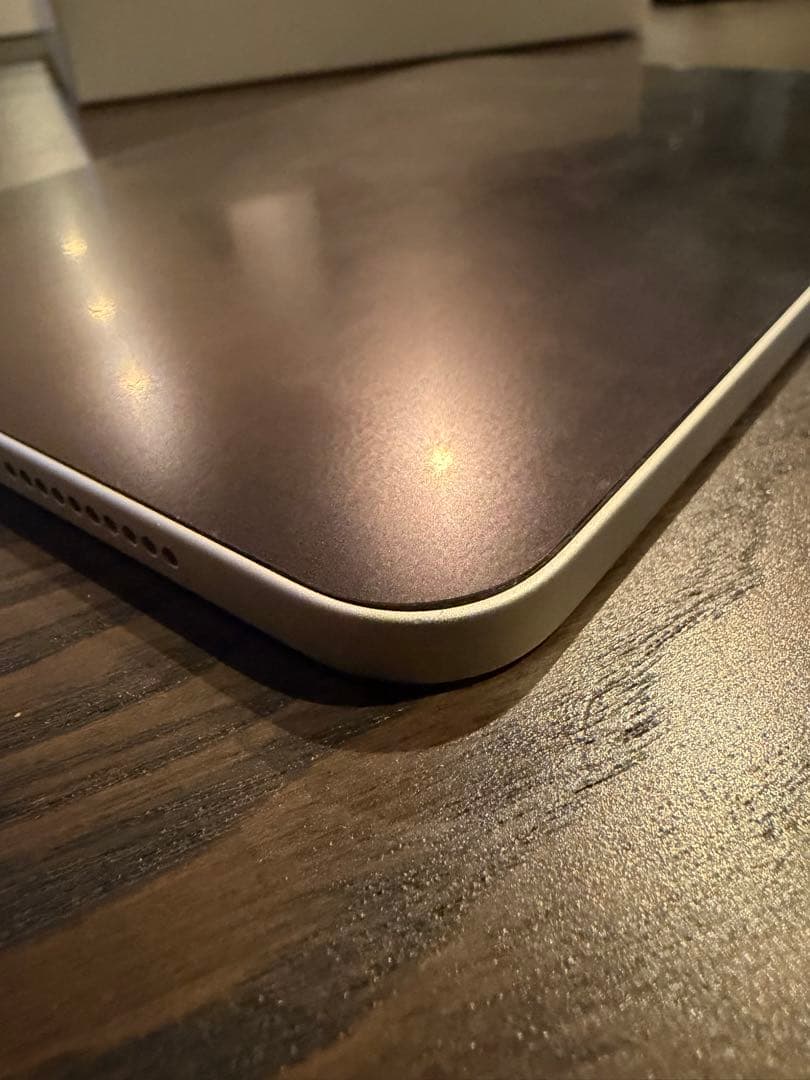 「楓」iPad mini (第6世代) 64GB