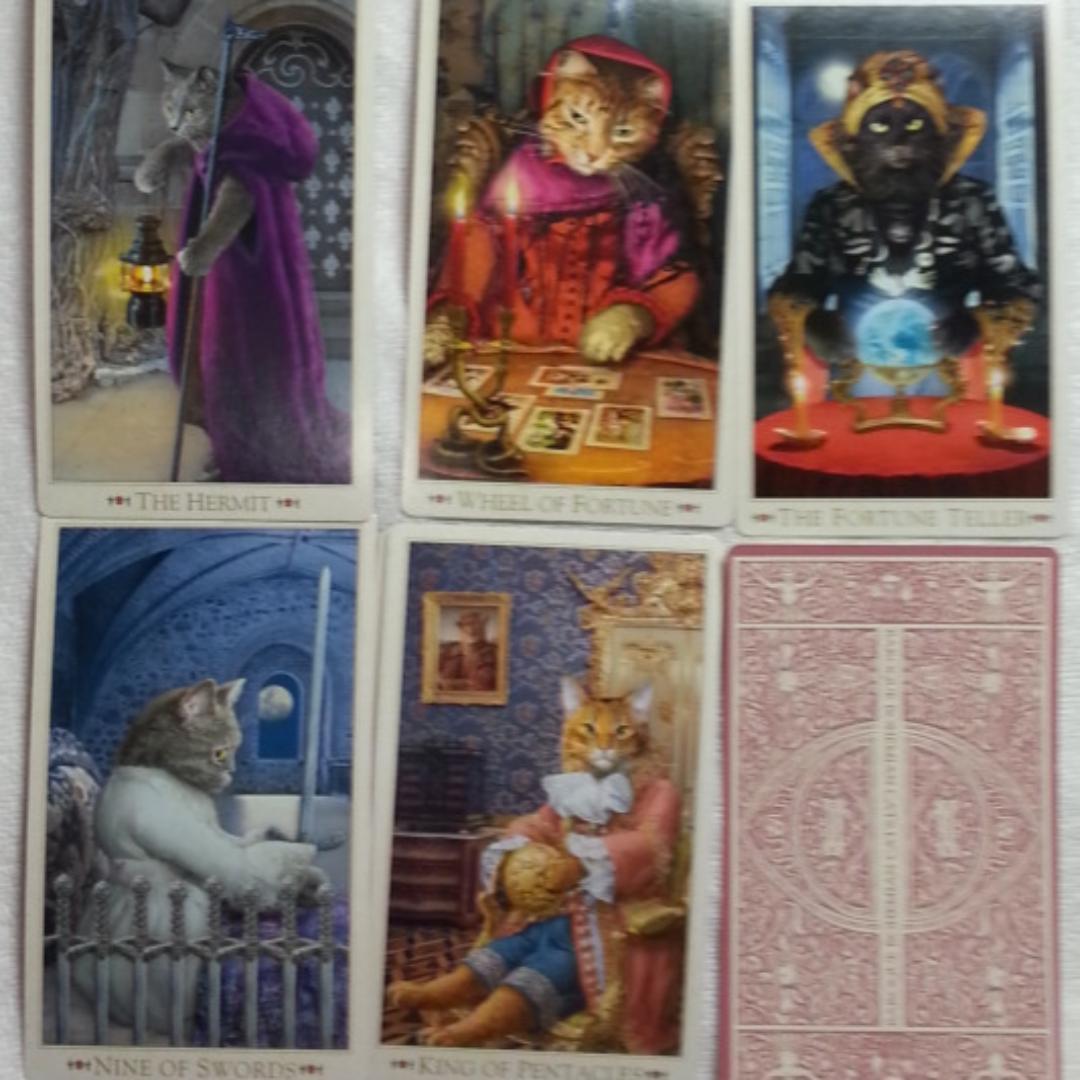 【空ちゃんママ】【タロット】BOHEMIAN CATS TAROT