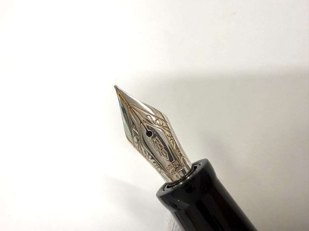 デルタ　ドルチェビータ　ミディアム　万年筆　14k F