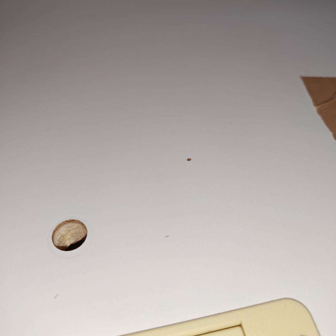 ※専用　IDC大塚家具 キオラ 食器棚 収納棚 家具 ソフトクローズ