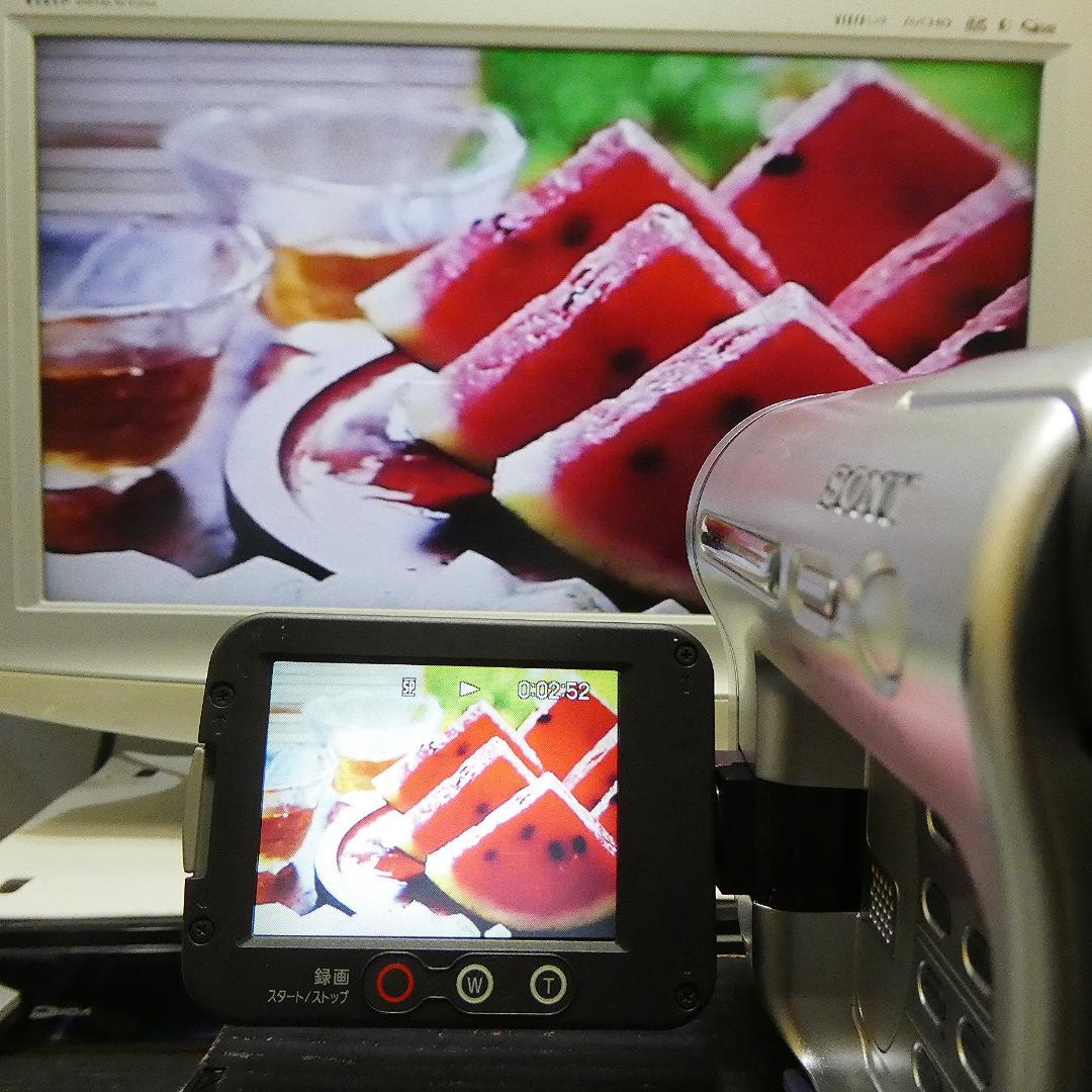 動作良好ソニー CCD-TRV126VideoHi8ビデオカメラ DVD化に最適