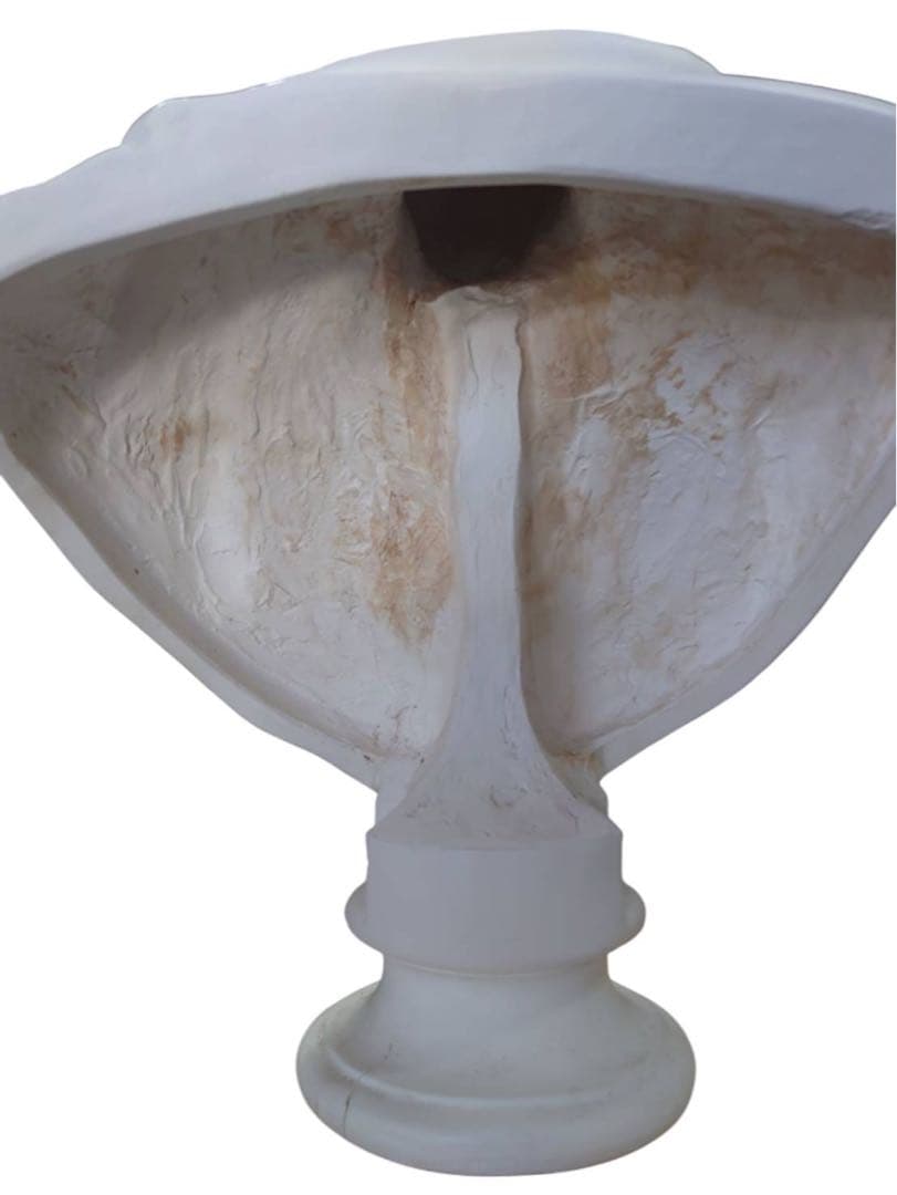 パジャント ベレニケ 石膏像 胸像 デッサン 彫刻