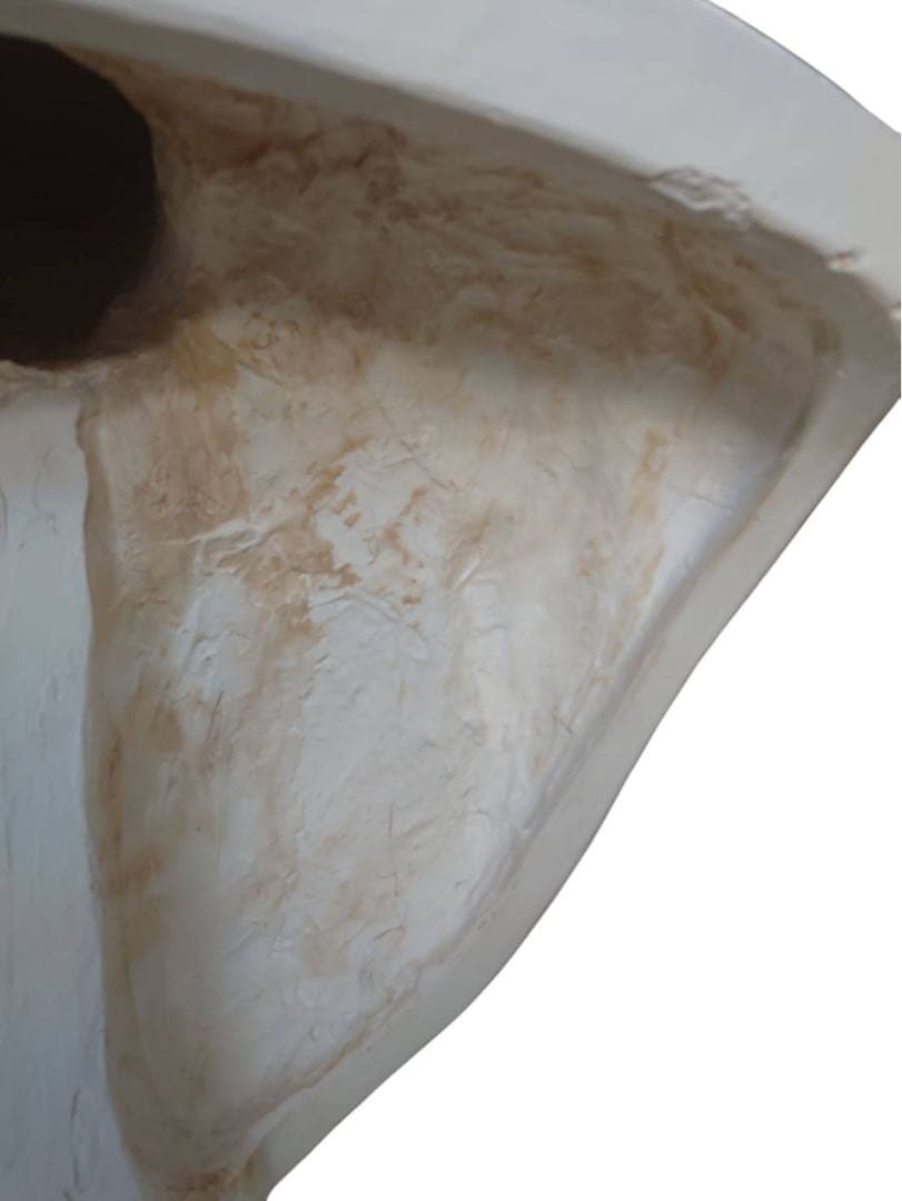 パジャント ベレニケ 石膏像 胸像 デッサン 彫刻