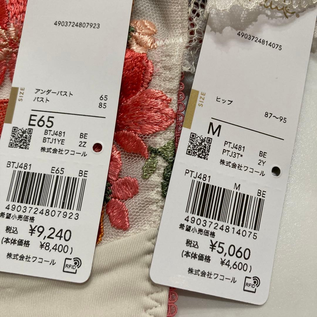 サルート　81G E65 ソング　M BE