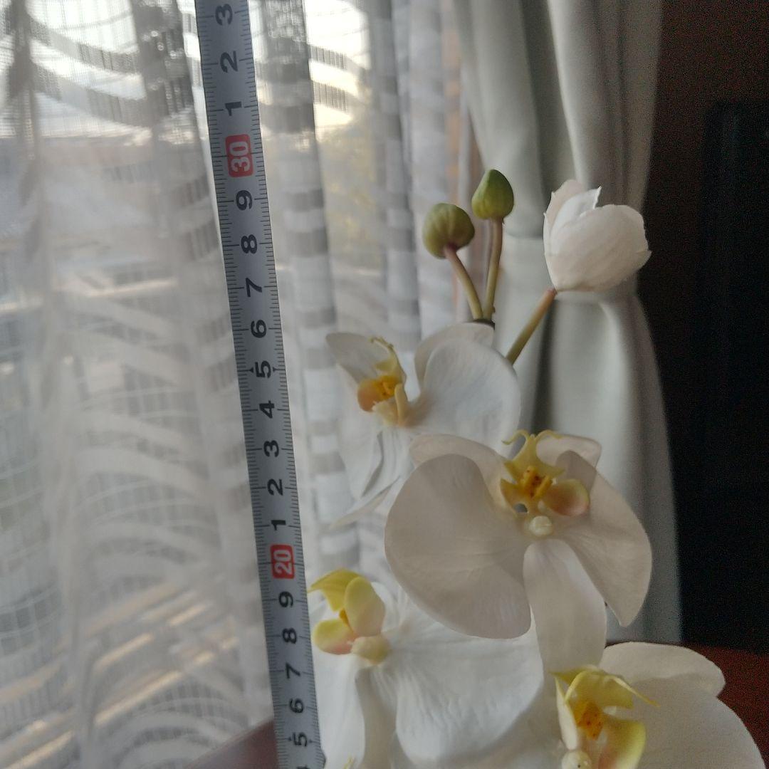 エリミオロバ 胡蝶蘭　造花 アレンジメント