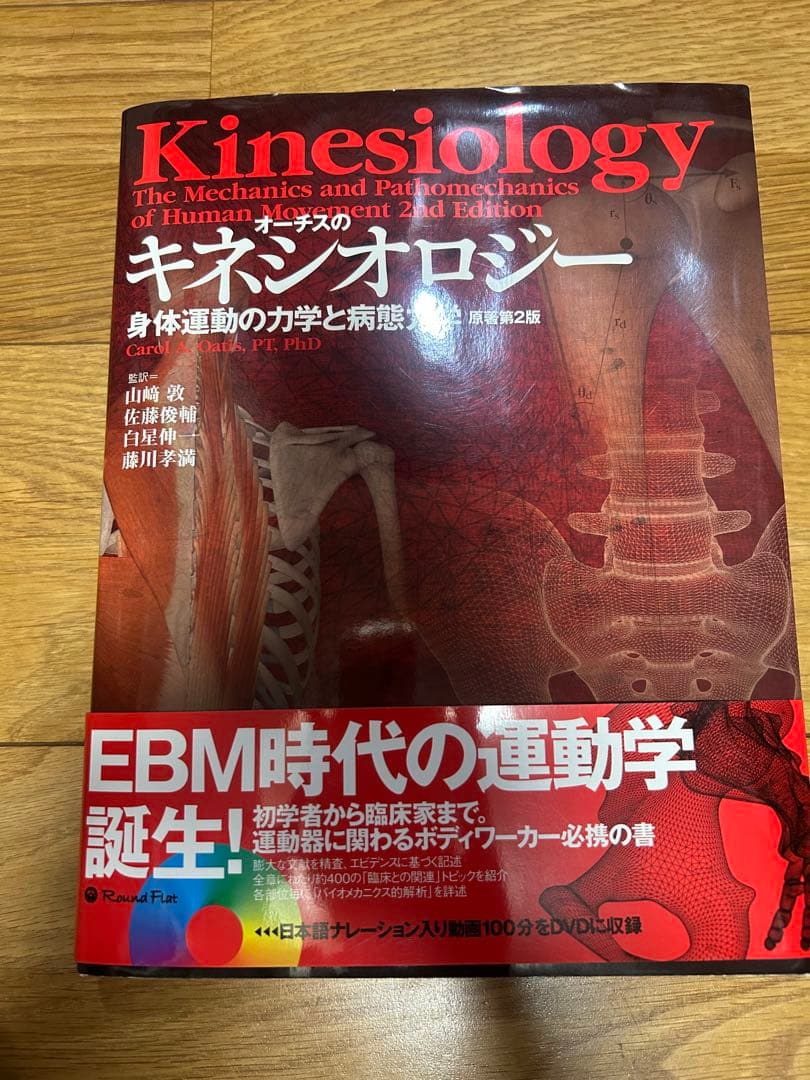 【ないんページ】オーチスのキネシオロジー