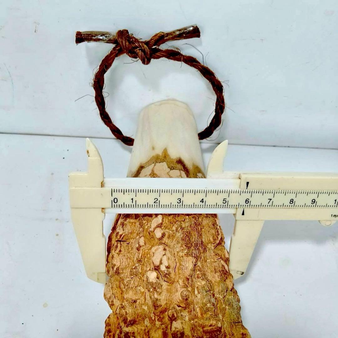 59♦️極上品 特大♦️超極太6.3cm 天然本山椒すりこぎ棒　プロ用　国産山椒の木