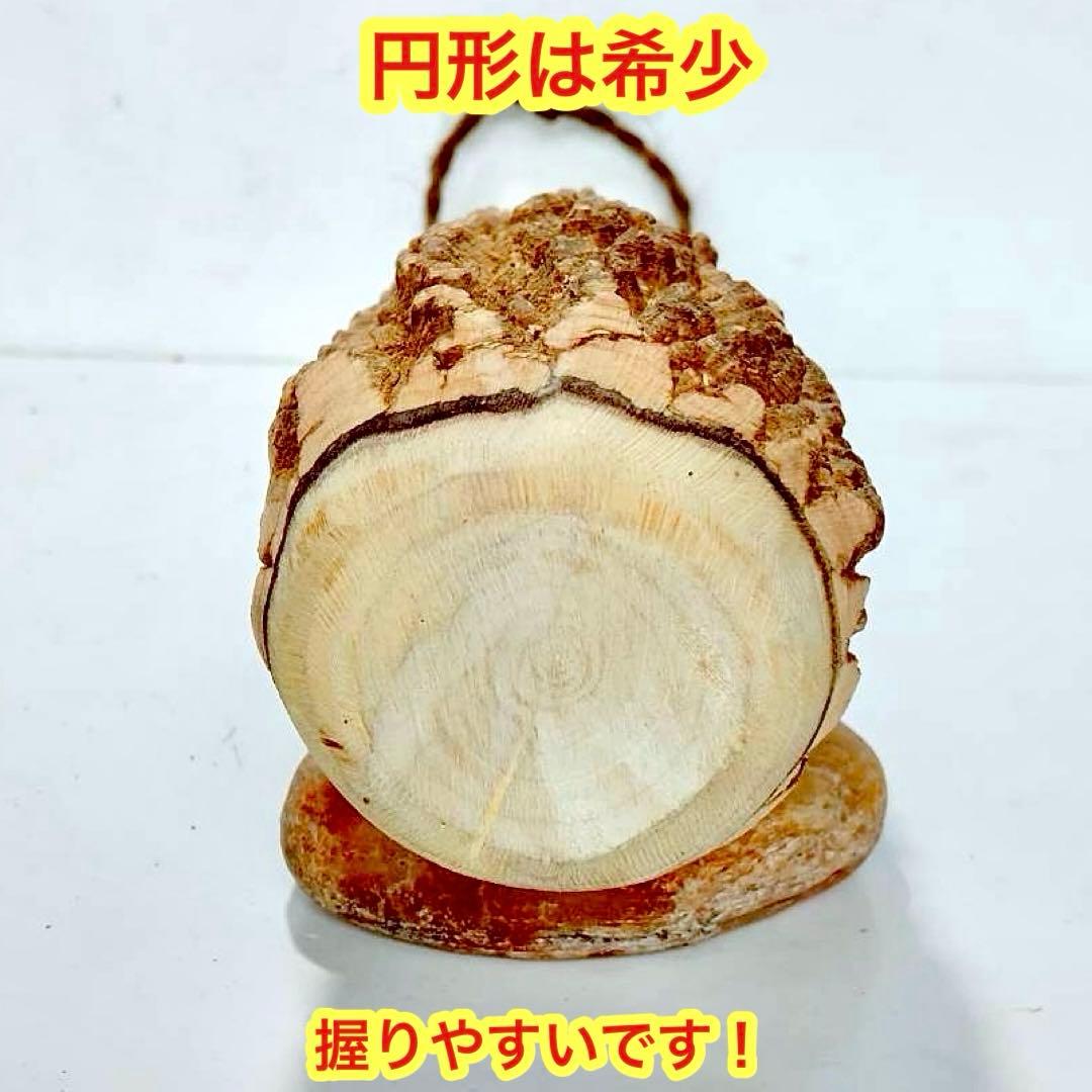 59♦️極上品 特大♦️超極太6.3cm 天然本山椒すりこぎ棒　プロ用　国産山椒の木