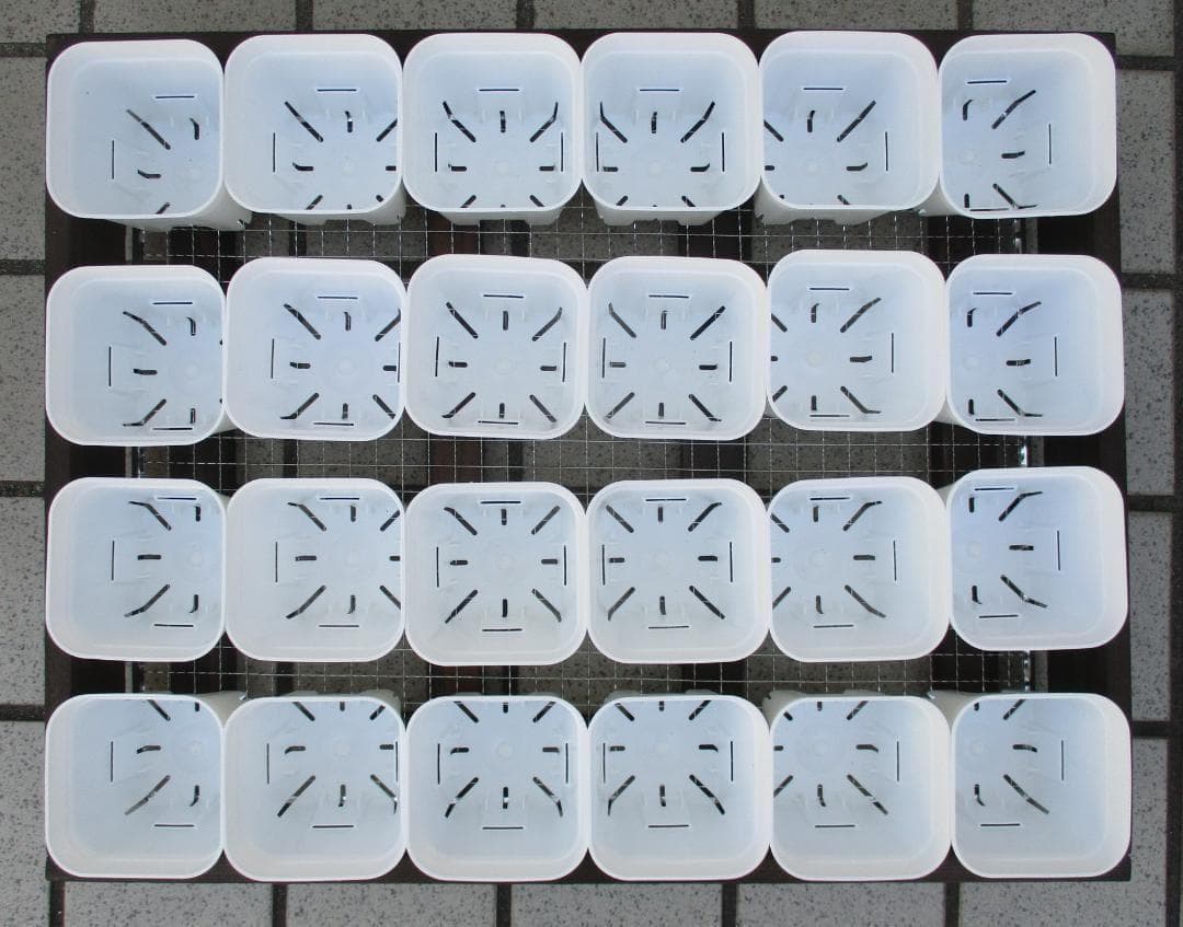 期間限定　６段トレー　多肉棚　プランター　スタンド　多肉植物棚　ラック　アガベ