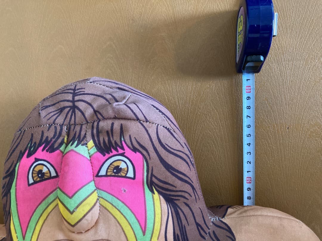 未開封・中古 TOY アルティメットウォリアー フィギュア セットWWF