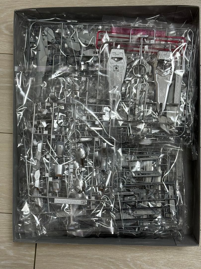 MG フリーダムガンダム Ver2.0 シルバーコーティング