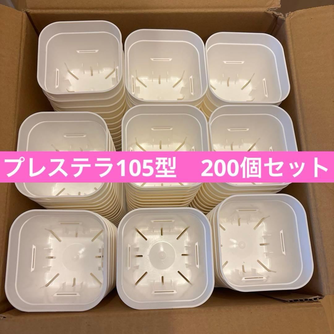 プレステラ ポット 鉢 ポリ鉢スリット鉢　105型　ホワイト　多肉　200個入り