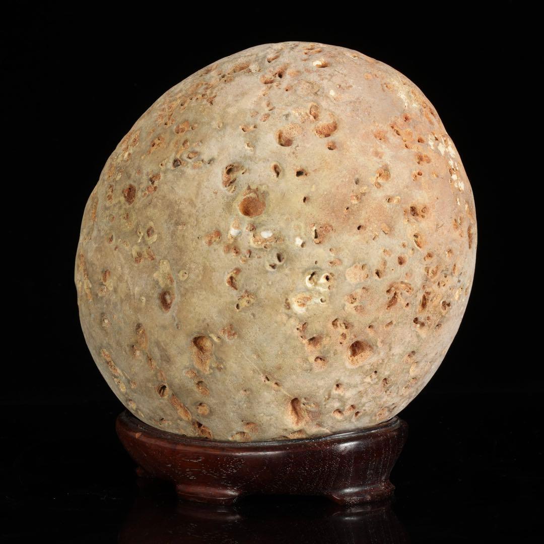 大型 多孔質 景石 火山岩系 5.8kg 台座付 自然石 鑑賞石 盆石 盆景