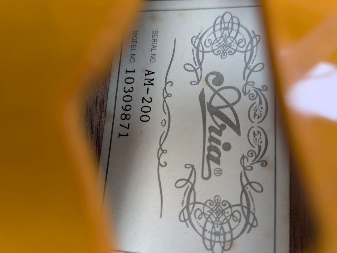 美品 Aria AM-200 フラットマンドリン バードケース付属品多数 アリア