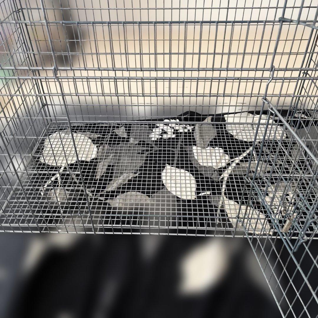 三光商会イージーホーム80ハイ 小動物飼育ゲージ