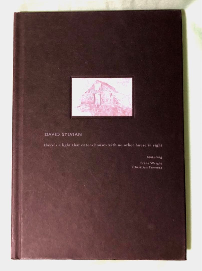 【希少限定盤CD】デヴィッド・シルヴィアン　いくつかの家に射し込む光