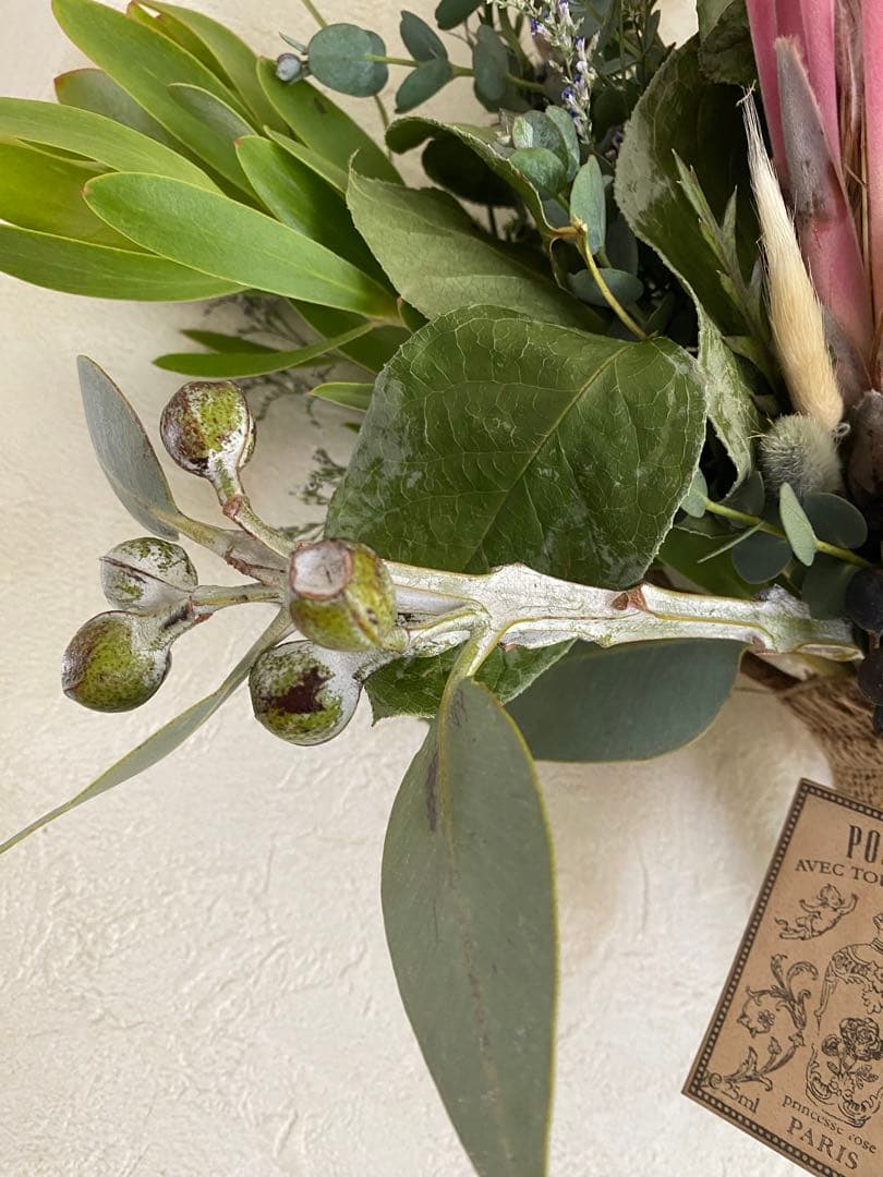 sold プロテアリース