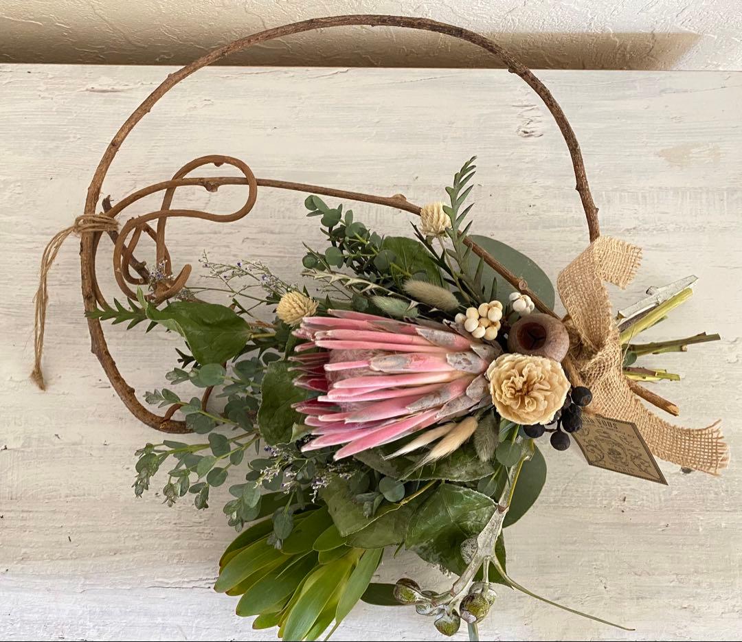 sold プロテアリース