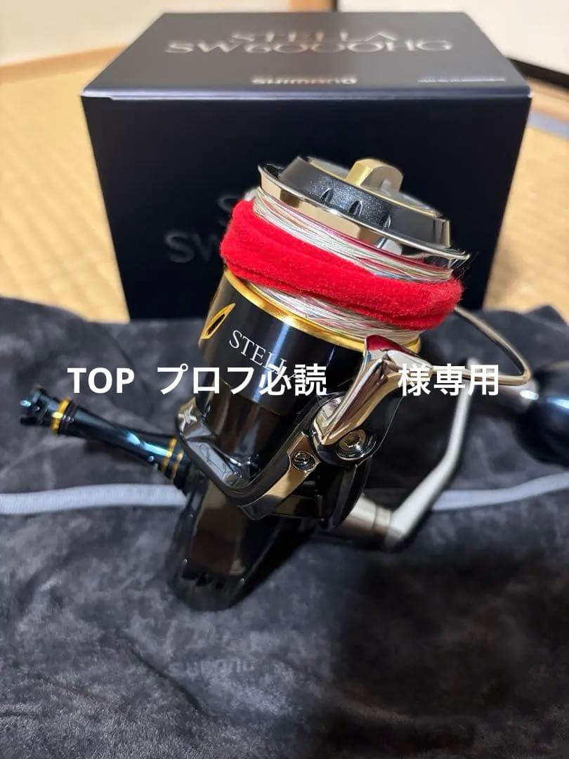 Shimano SW6000HG スピニングリール ステラ　sw 美品