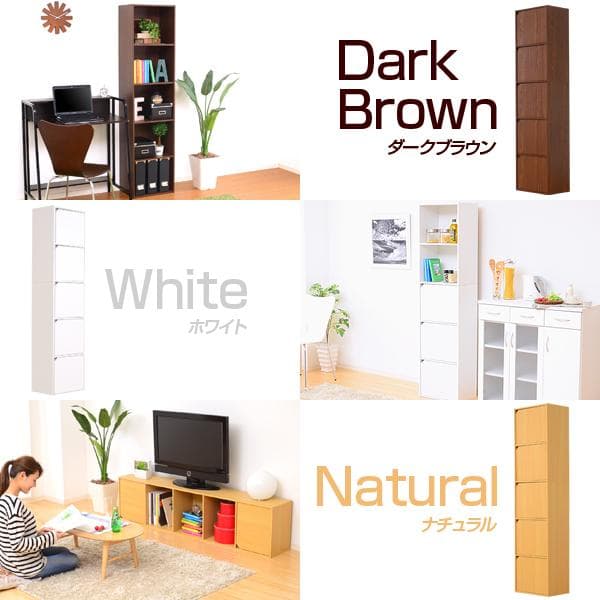 扉付 縦長 大容量 カラーボックス 用途様々収納 ナチュラル