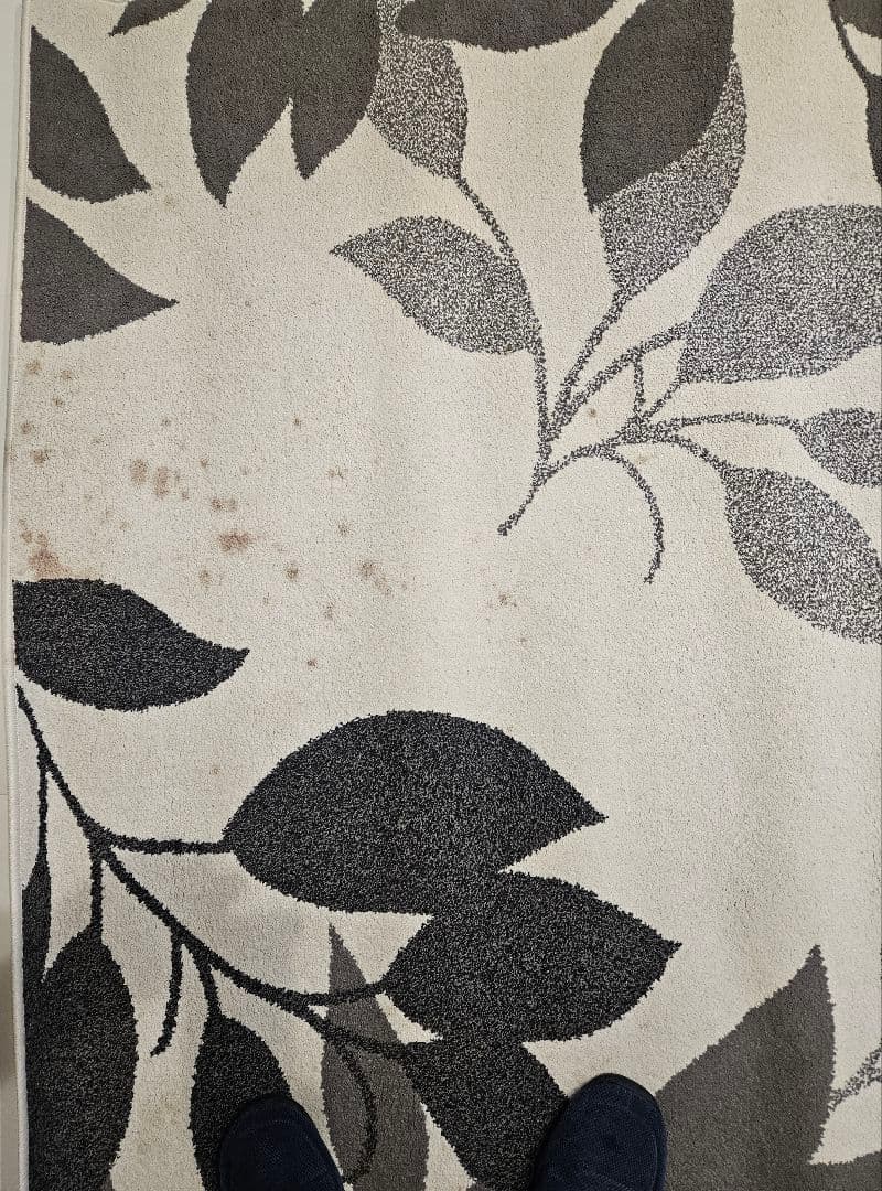 ウィルトン織りラグ（リスティ160x230）