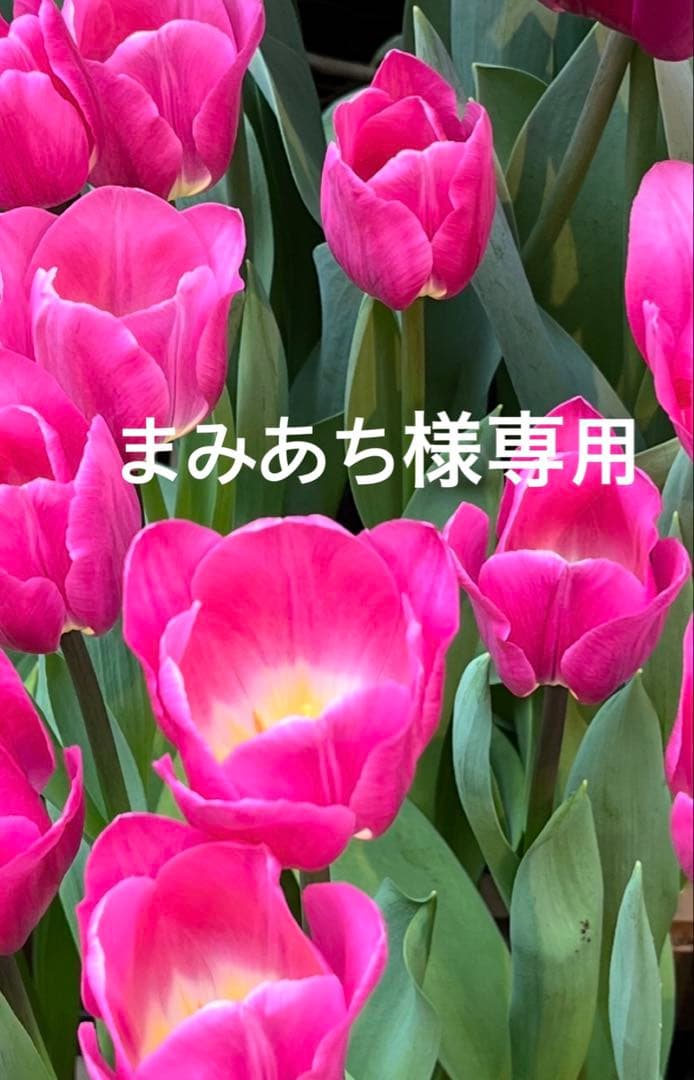 ステンドグラス　サンキャッチャー