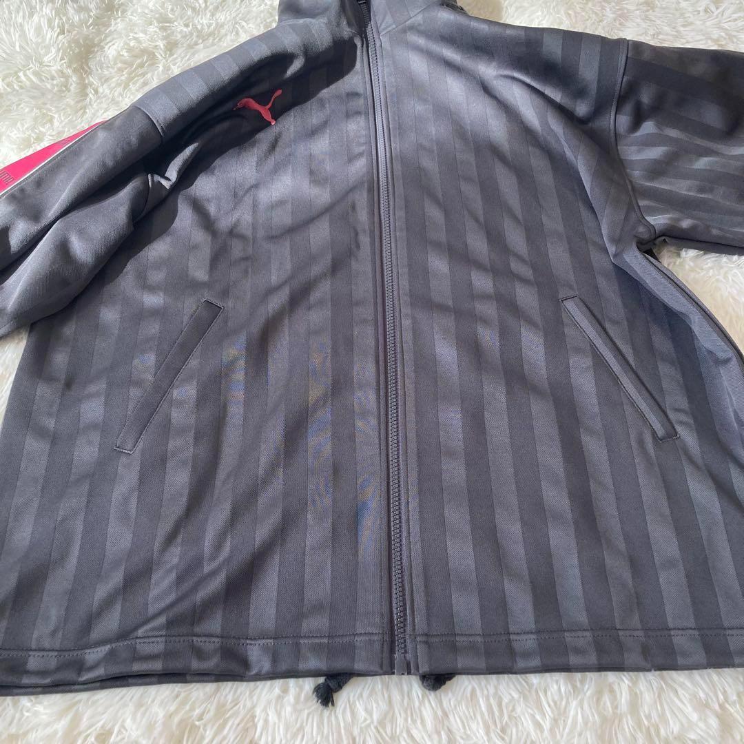 PUMA プージャ　ジャージ上下セット グレー　ピンク　 大きいサイズ