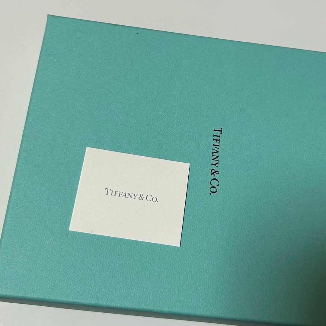 Tiffany & Co. ティファニー ヴィド ポシェ