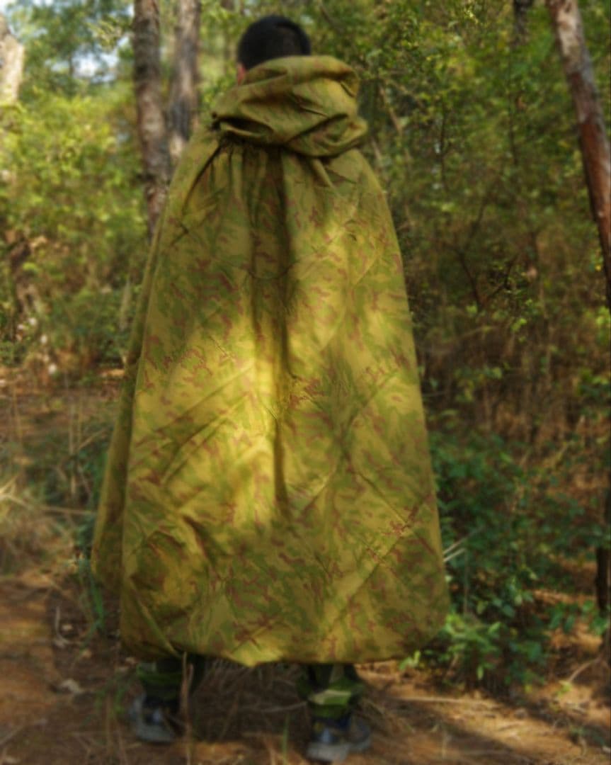 キンちゃん　2枚セット